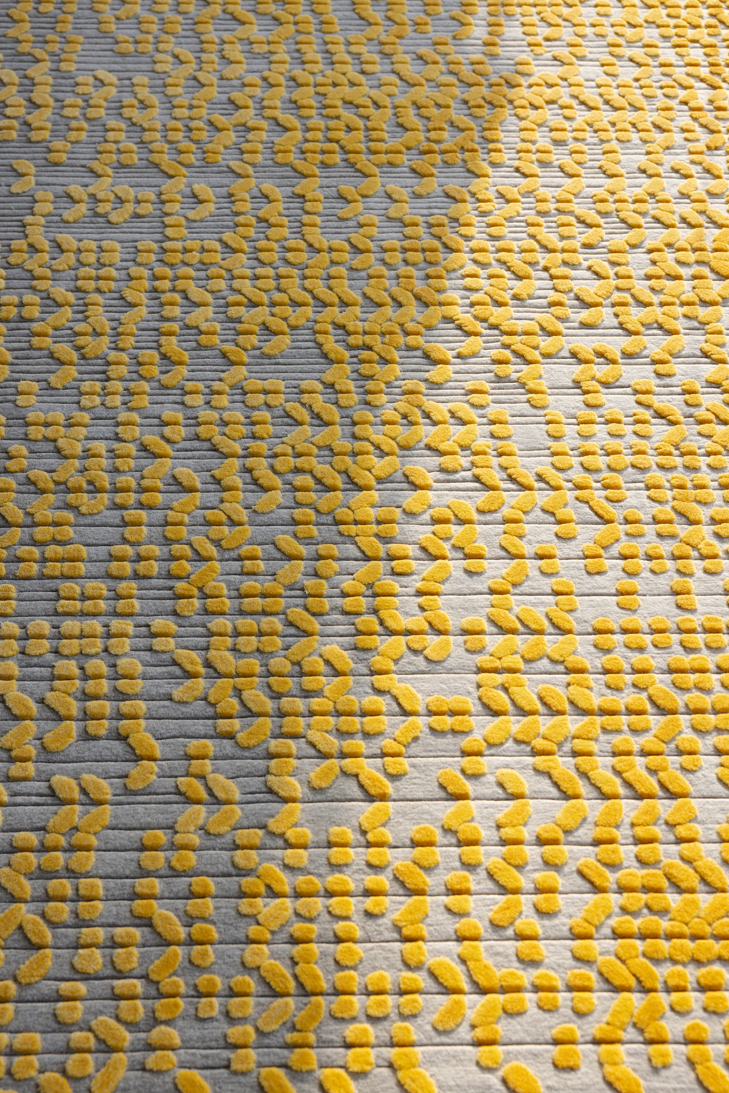 الغاف (أصفر)