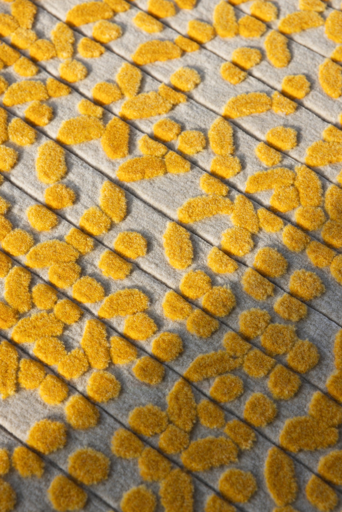 الغاف (أصفر)