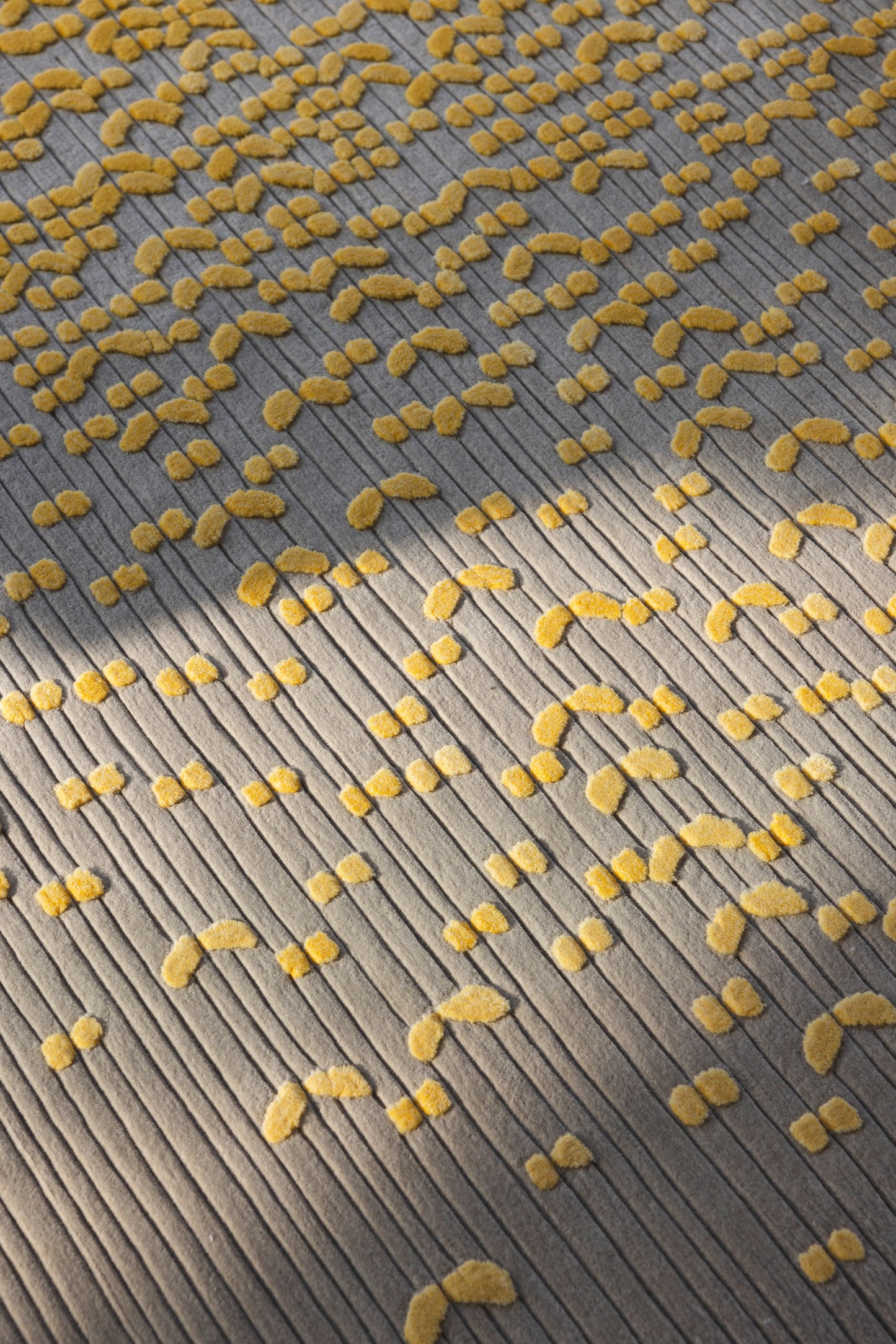 الغاف (أصفر)