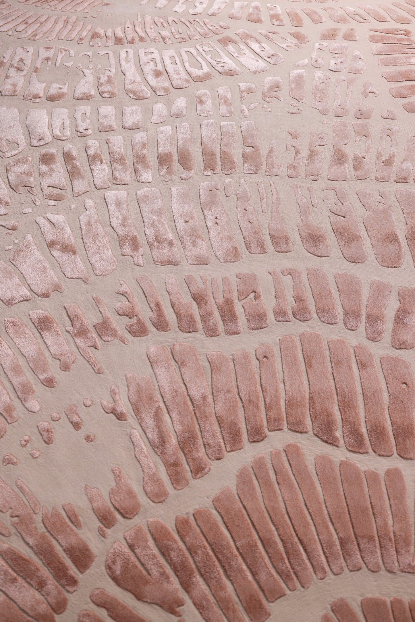 الشعاب المرجانية