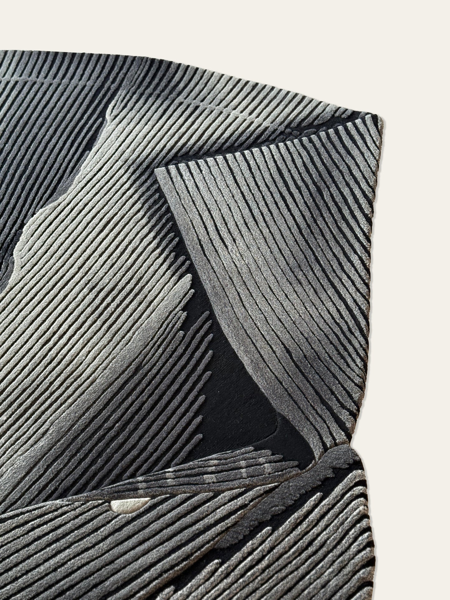 Pleats Carbon