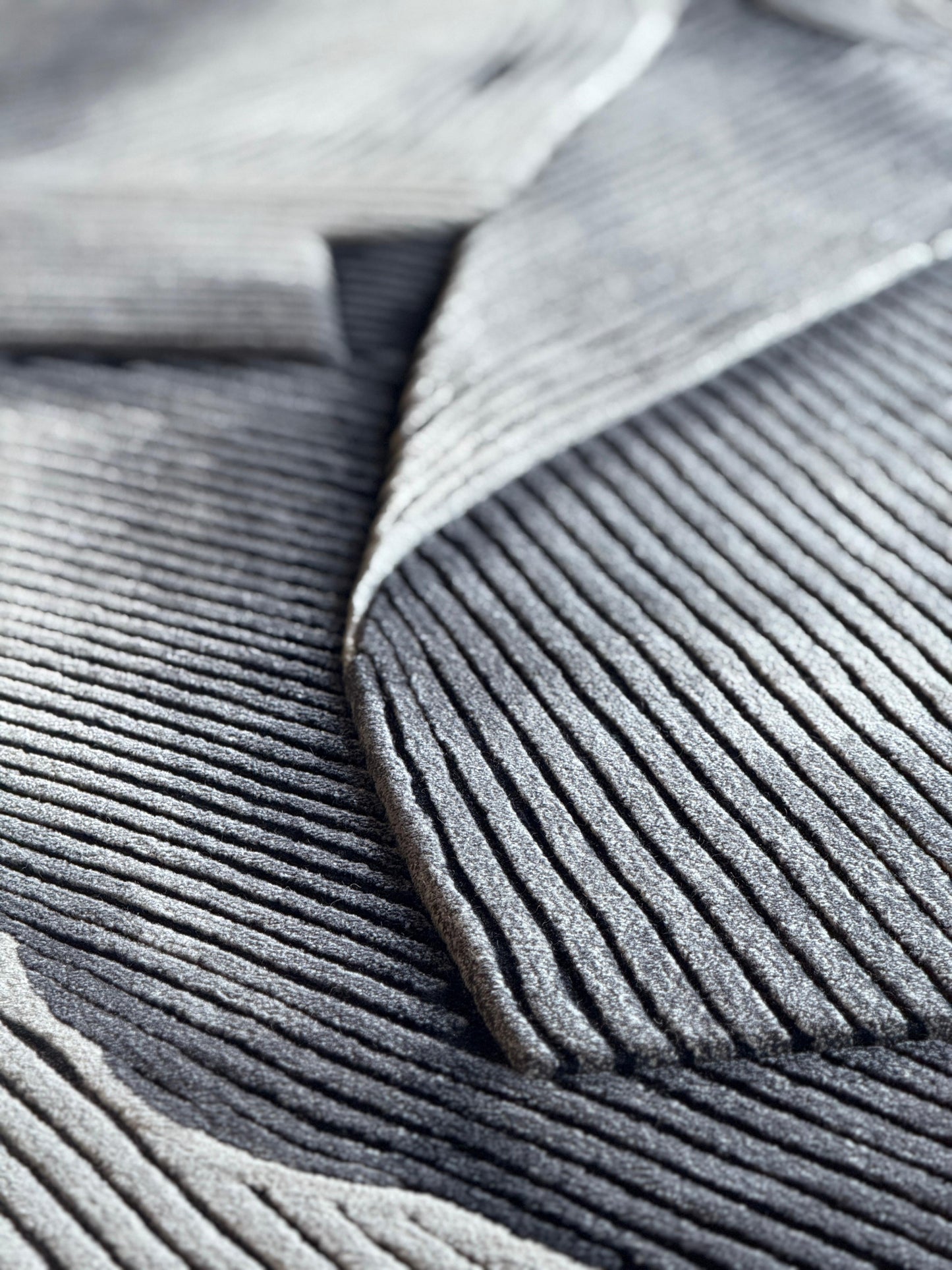 Pleats Carbon