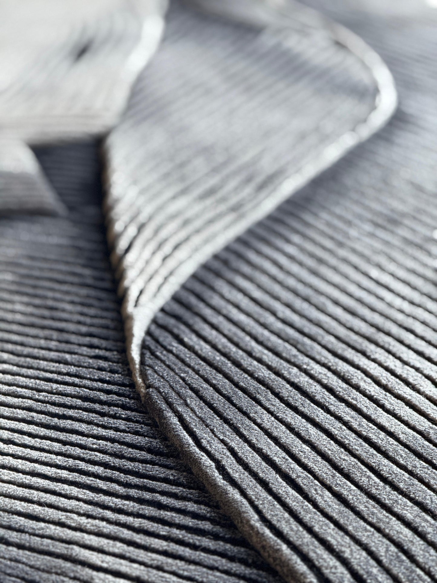 Pleats Carbon
