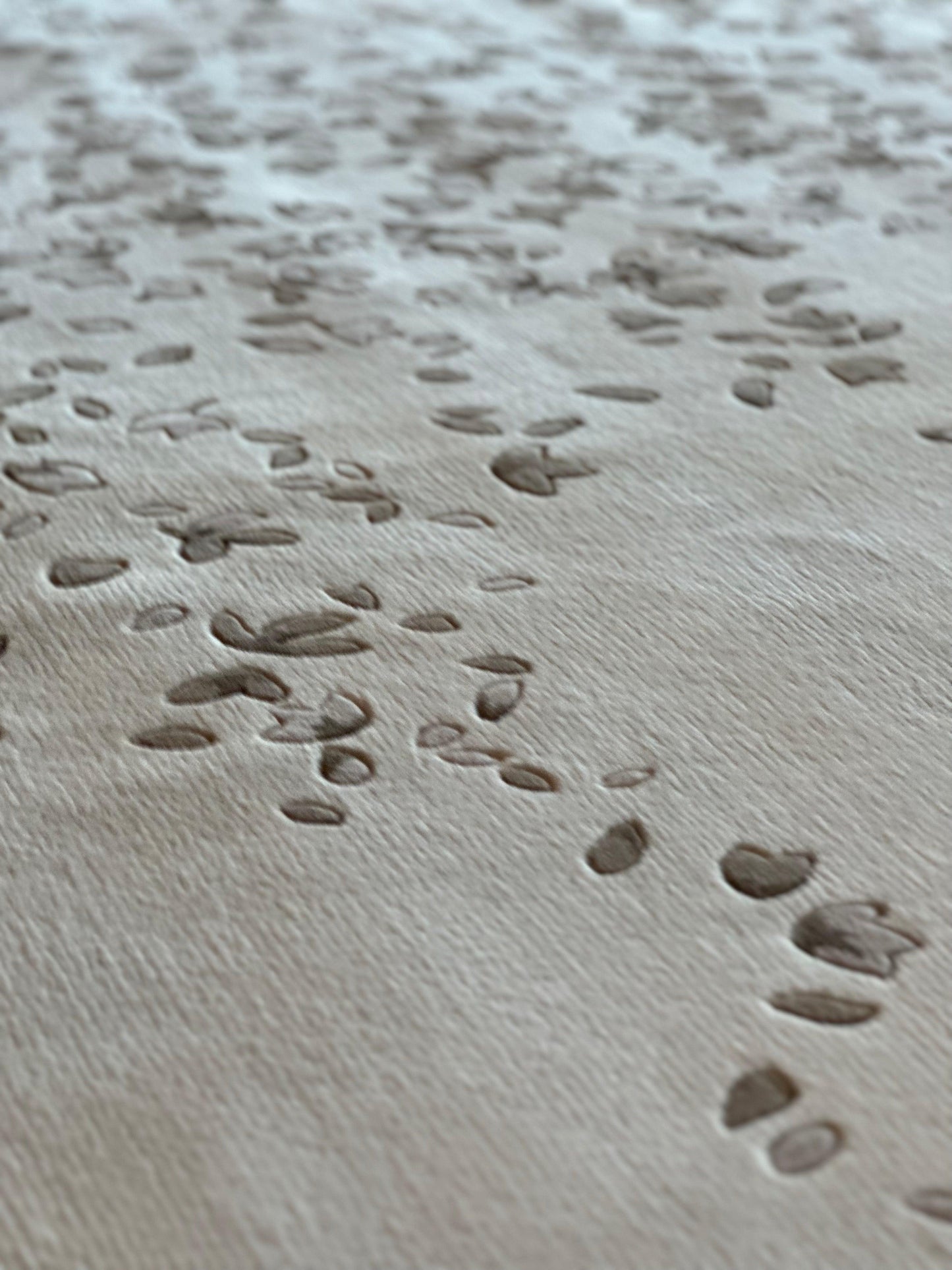 3*4m Seher (Autumn) Carpet - Hand carded Semi worsted New Zealand wool - Zuma UAE