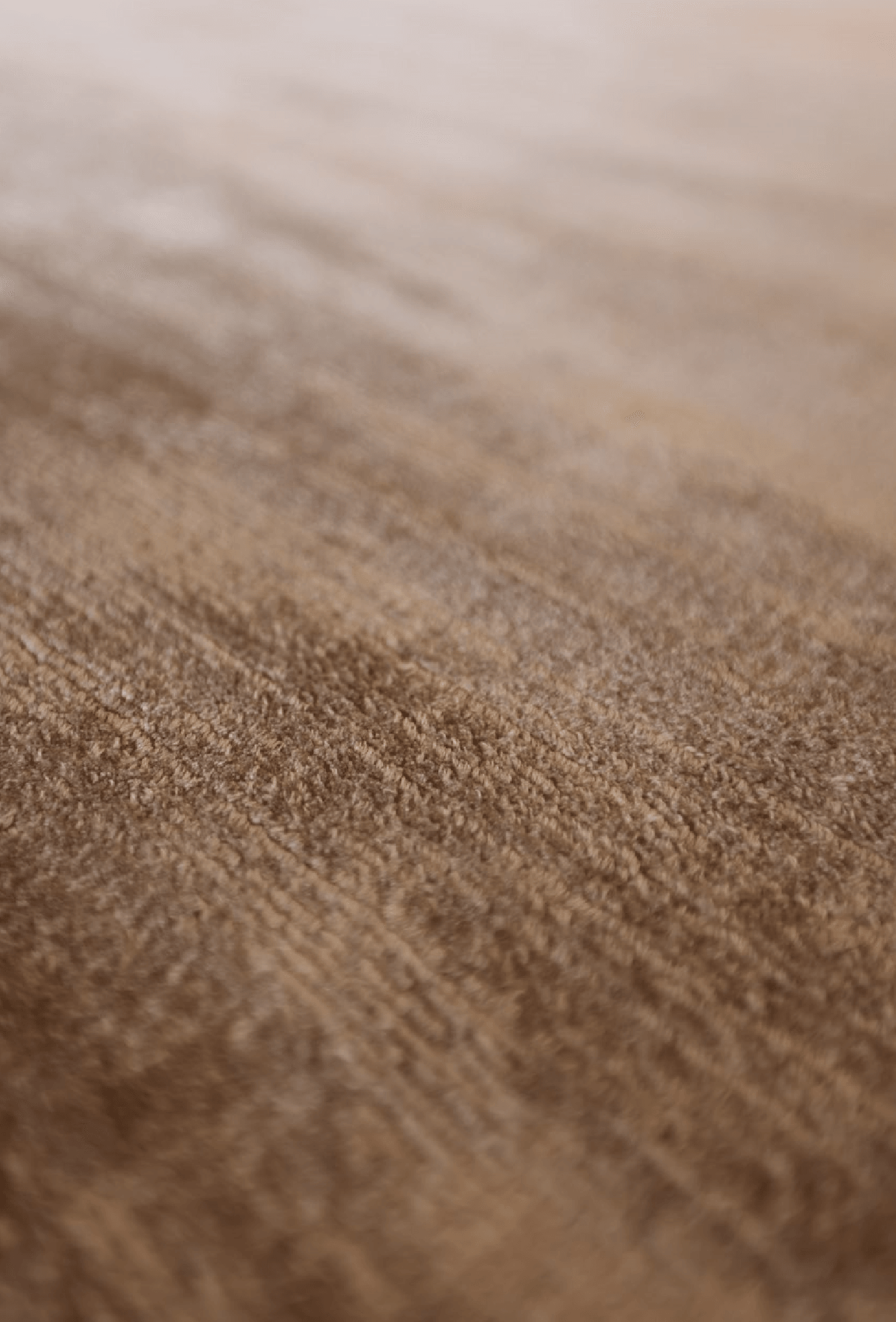 Tip Sheared (Titanium) - Zuma UAE
