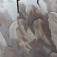 Plume Carpet - 100% Semi-Worsted New Zealand Wool - Zuma UAE