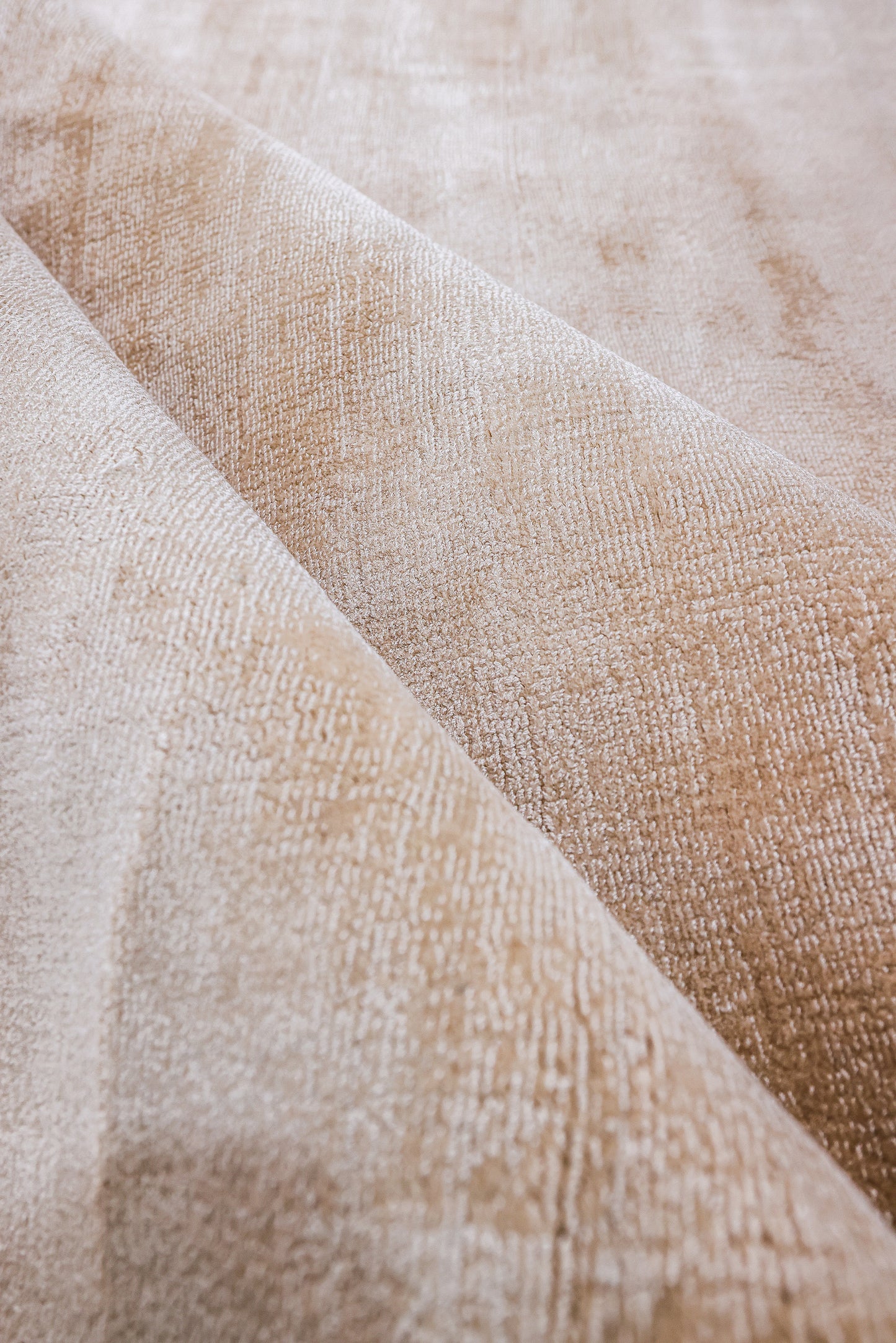 نصيحة المنفصمة (وردي الصحراء)