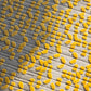 Ghaf (Yellow)