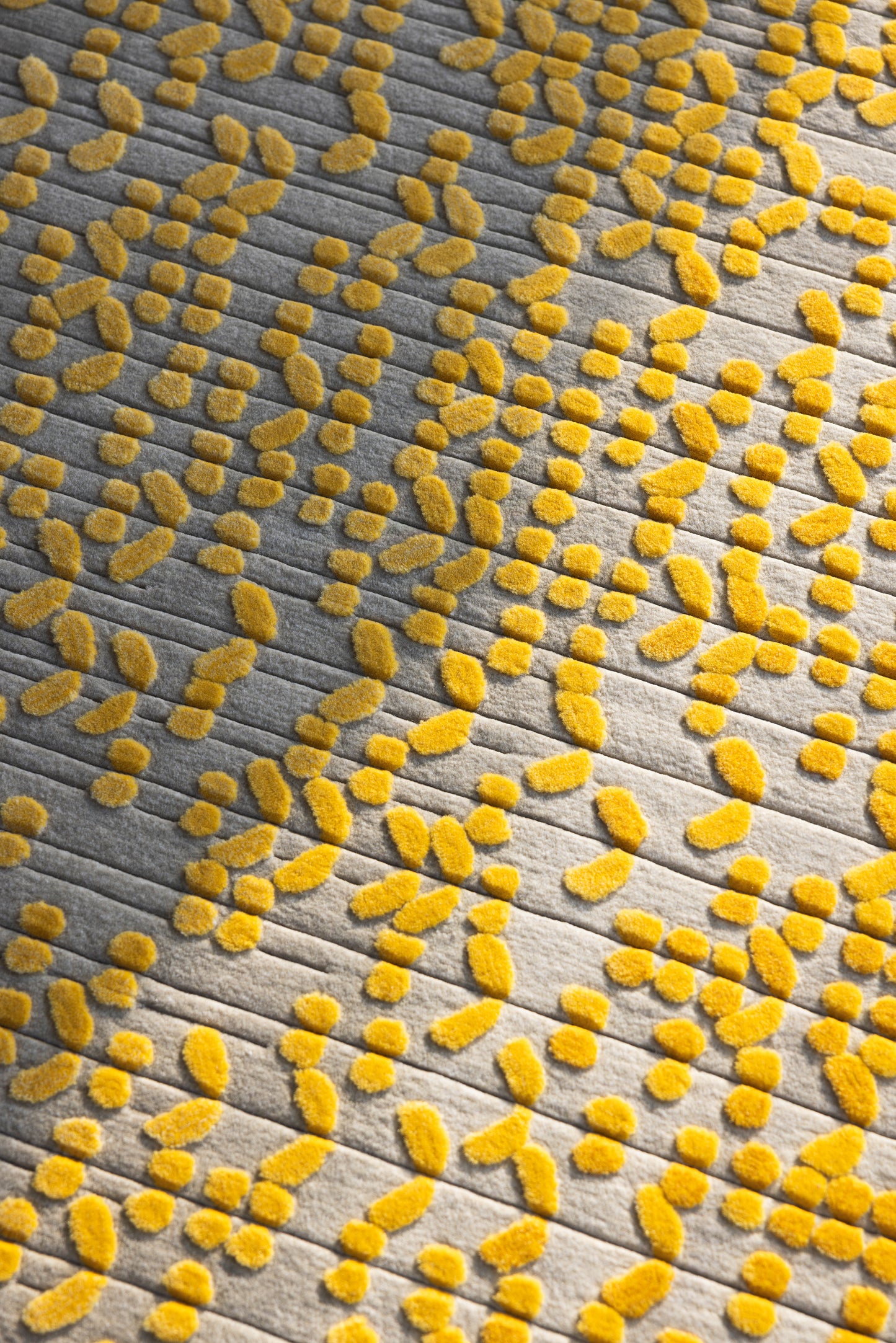 Ghaf (Yellow)