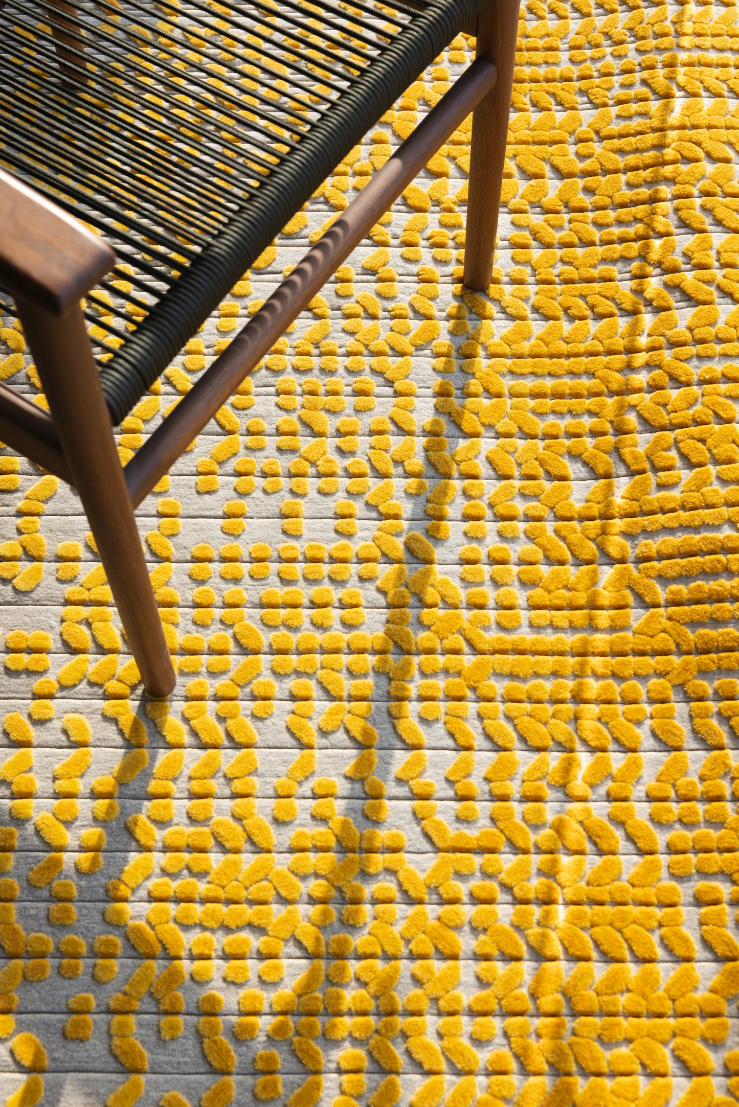 Ghaf (Yellow)