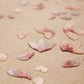 Seher Blush