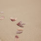 Seher Blush