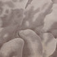 ريشة