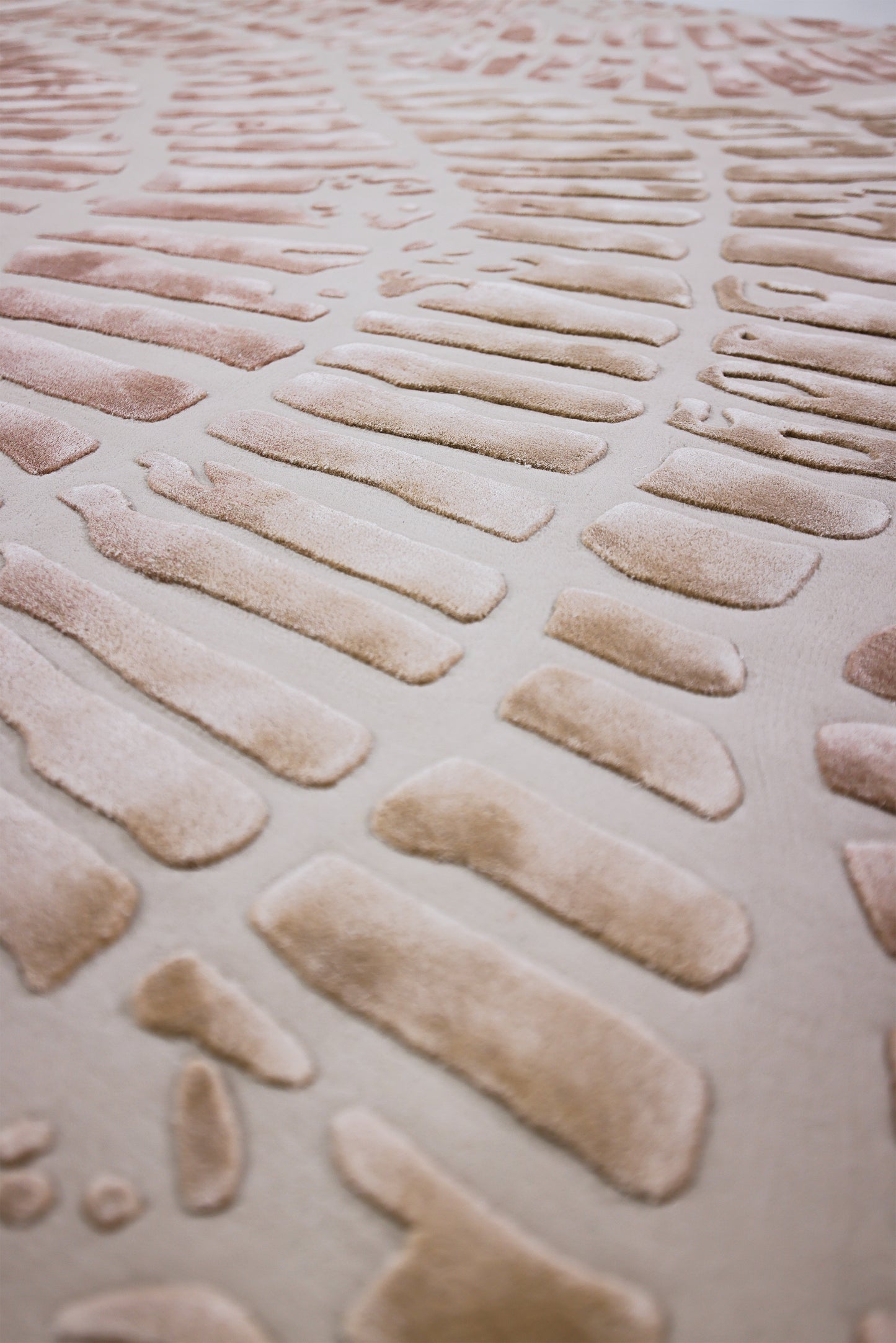 الشعاب المرجانية