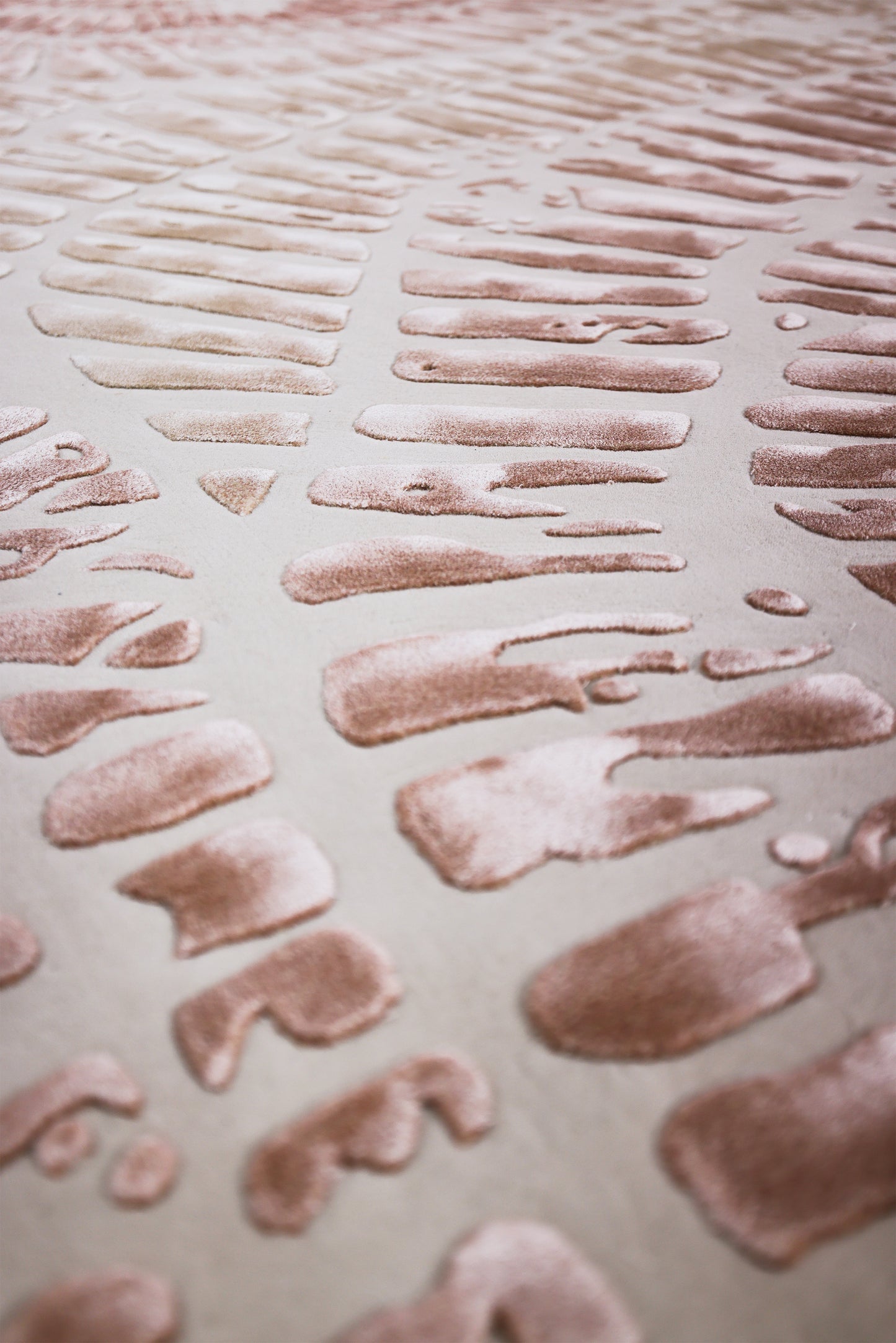 الشعاب المرجانية