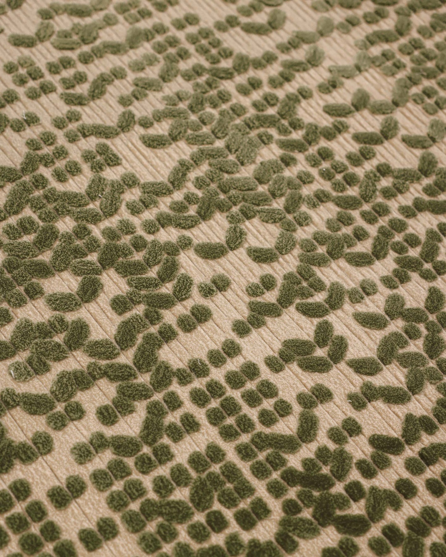 Ghaf (Green)