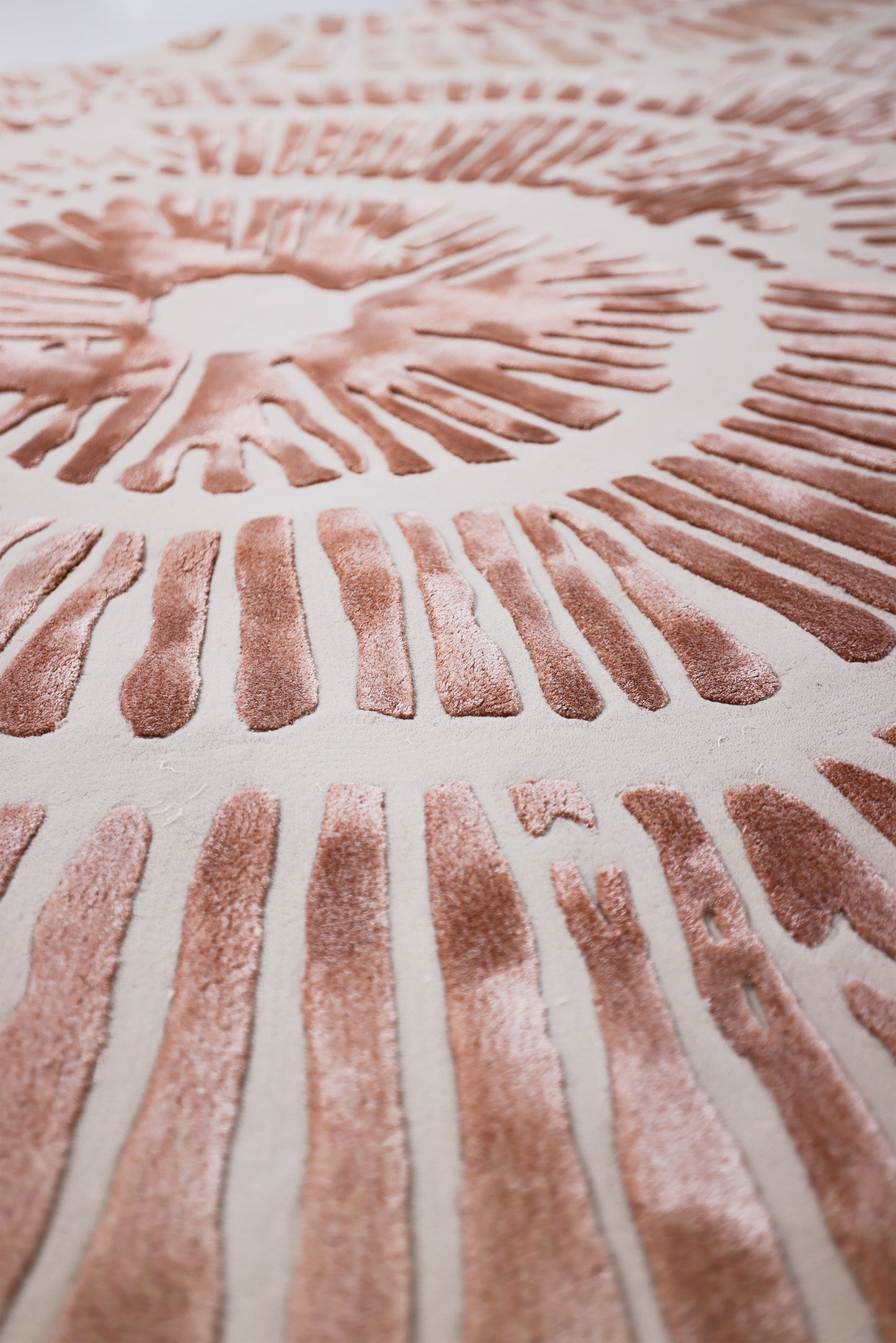 الشعاب المرجانية