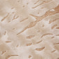 Edge Loop 2.0 (Gold)