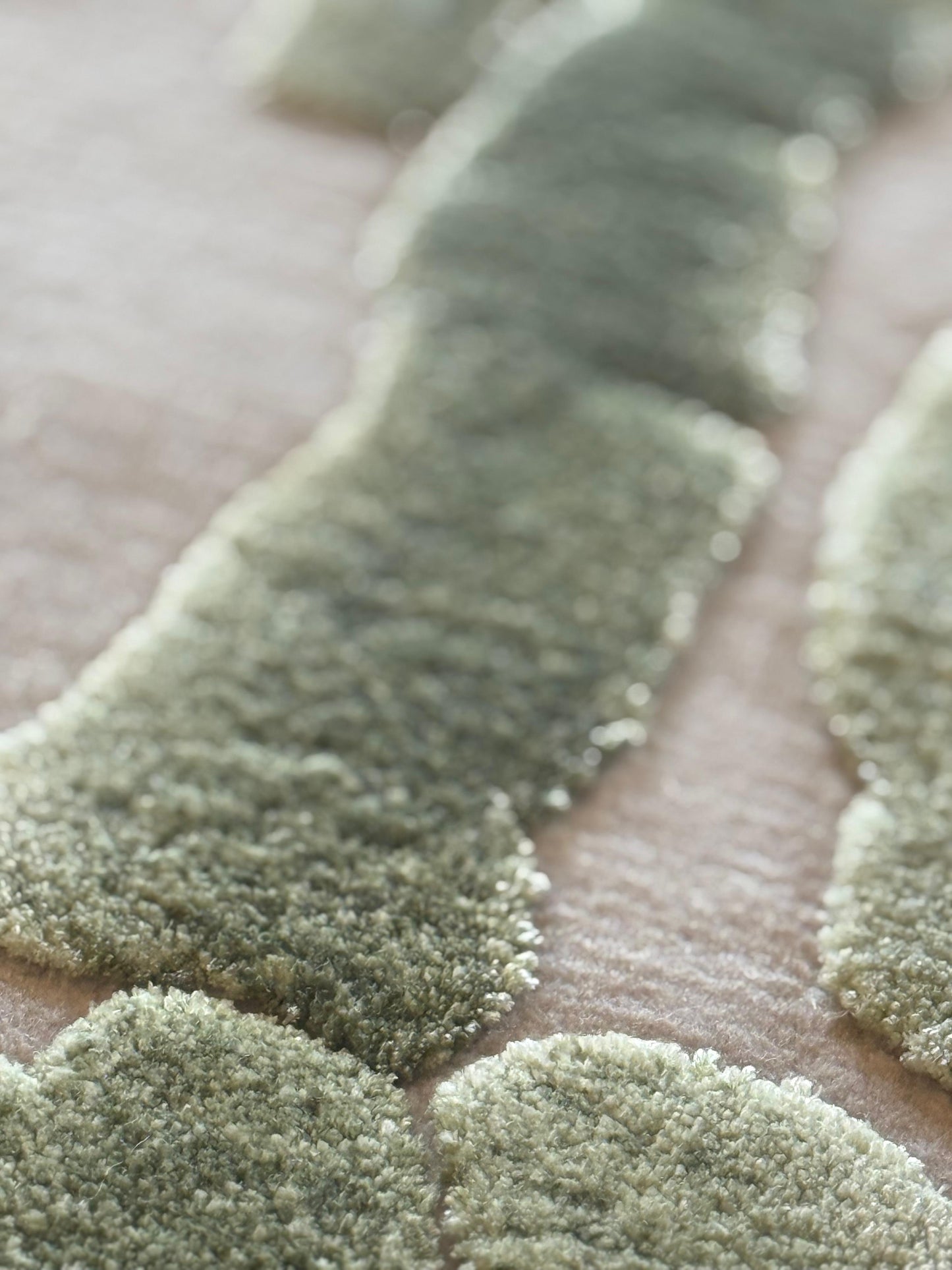 Mosses