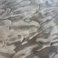 ريشة