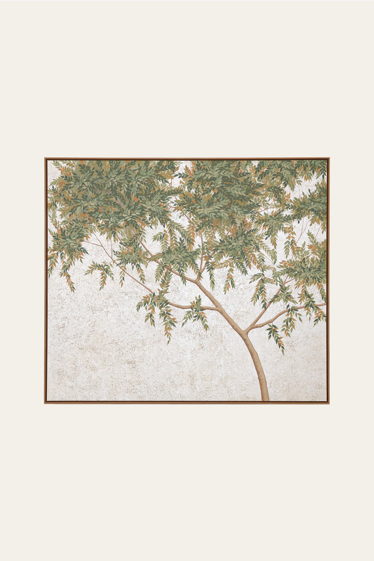 Ghaf Tree