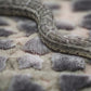Slither
