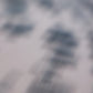 Sliver